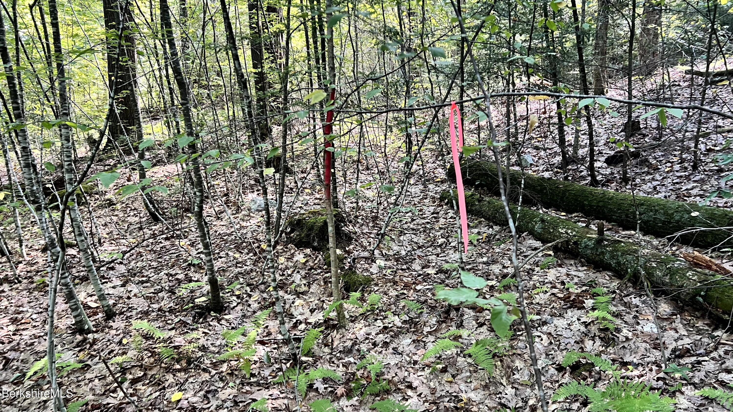 8 Hemlock Road Tyringham, MA 01264 - Photo 6 of 31 IMG_6940