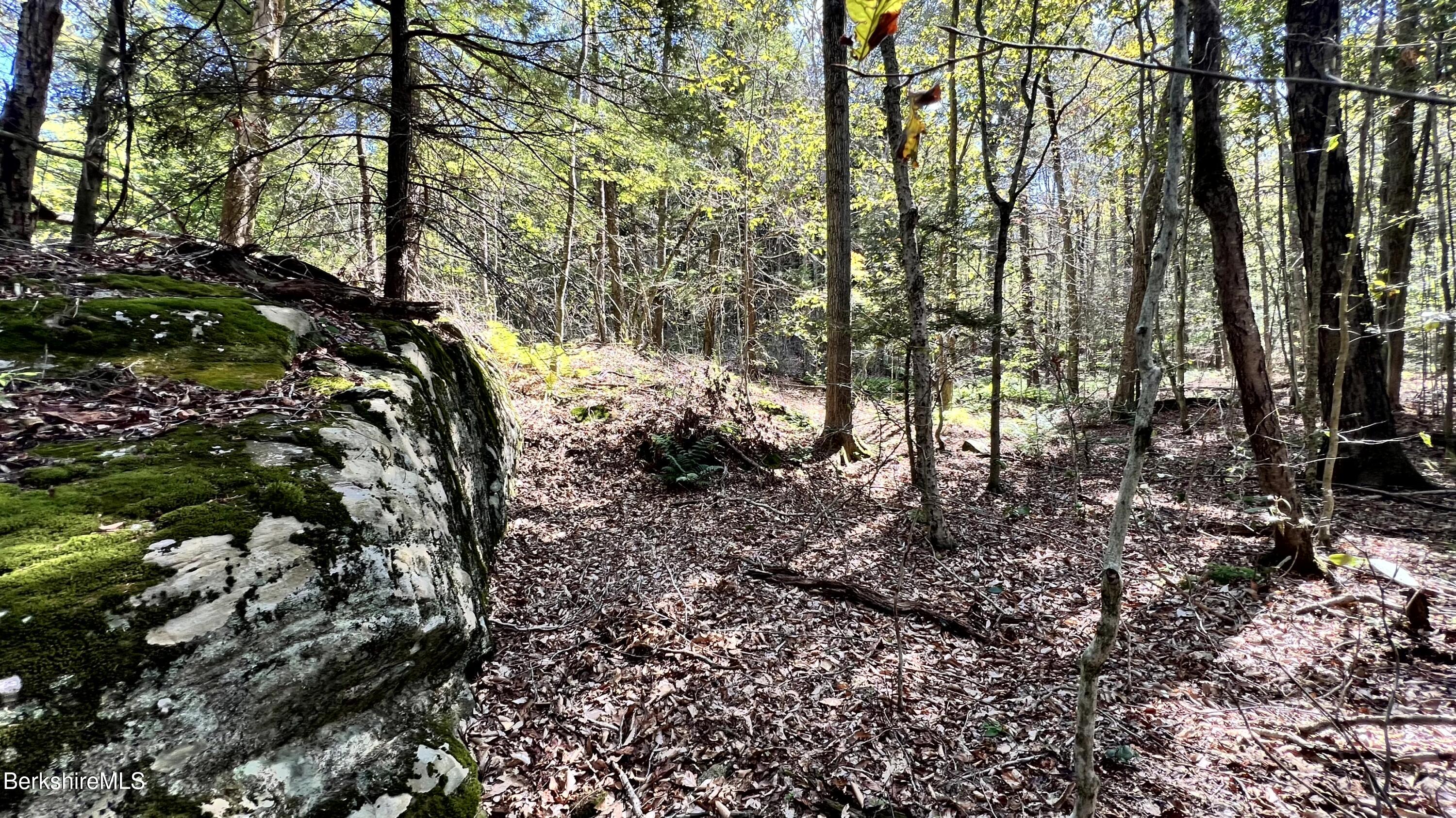 8 Hemlock Road Tyringham, MA 01264 - Photo 7 of 31 IMG_6939