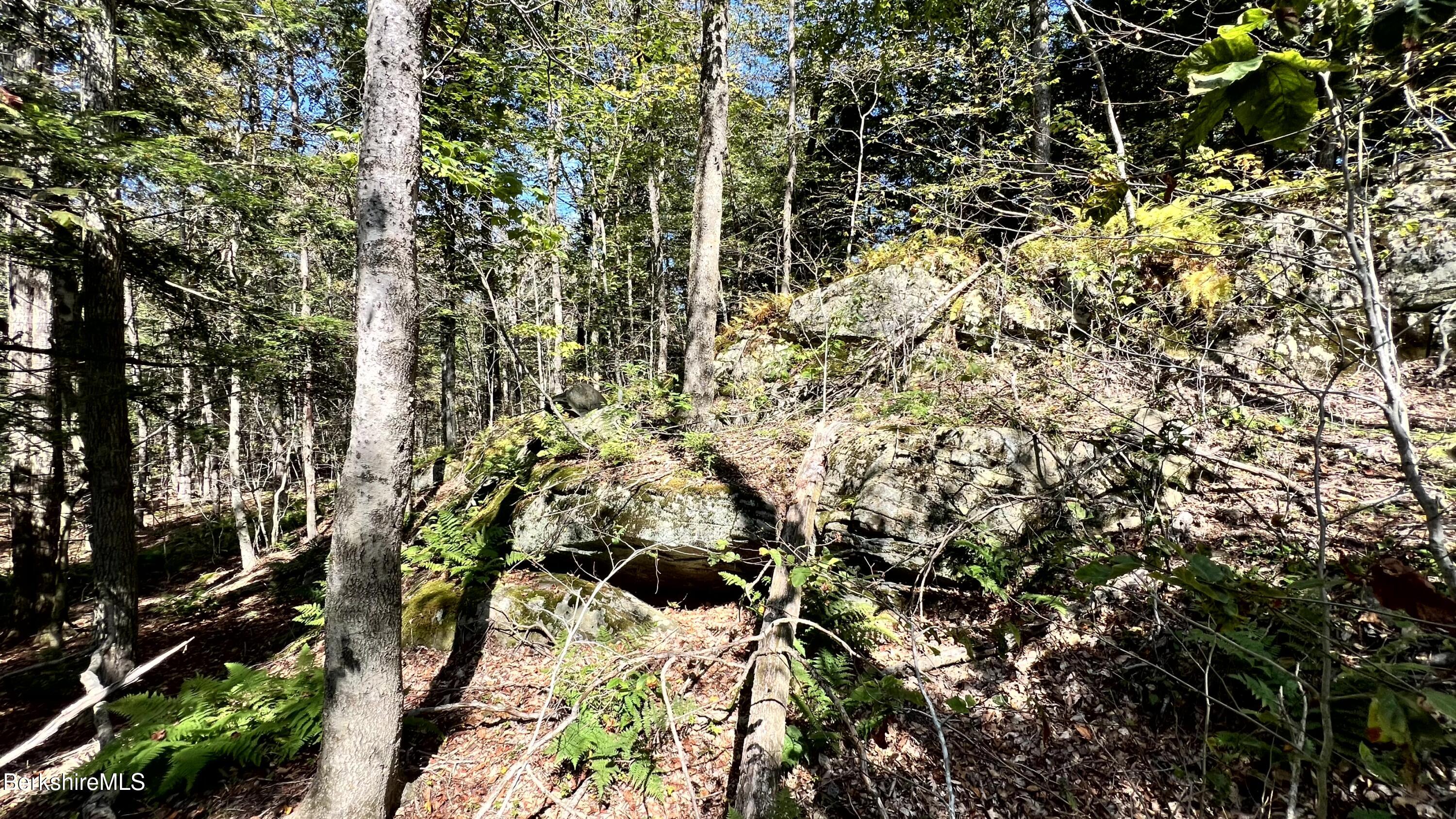 8 Hemlock Road Tyringham, MA 01264 - Photo 8 of 31 IMG_6938