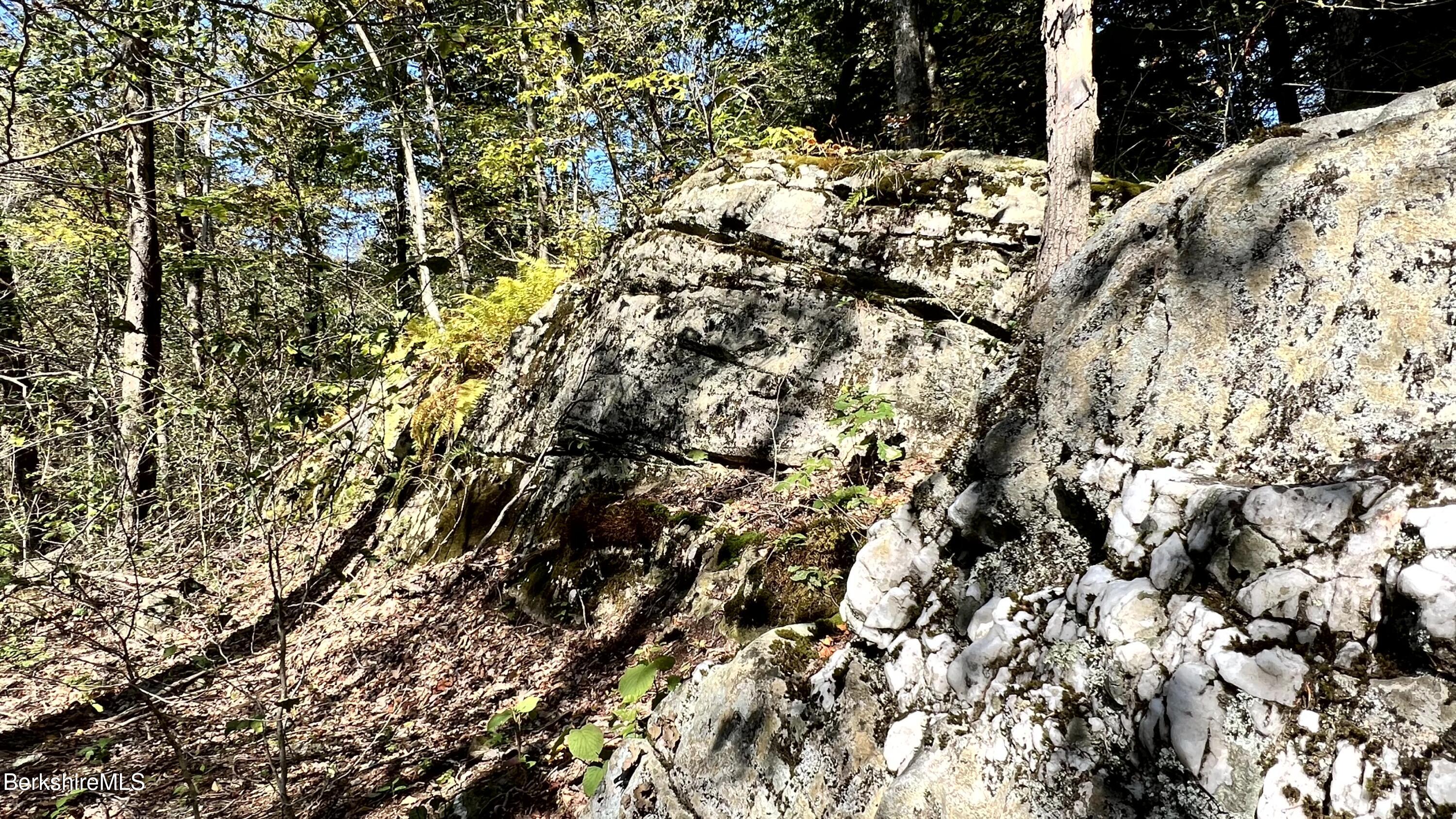 8 Hemlock Road Tyringham, MA 01264 - Photo 9 of 31 IMG_6937