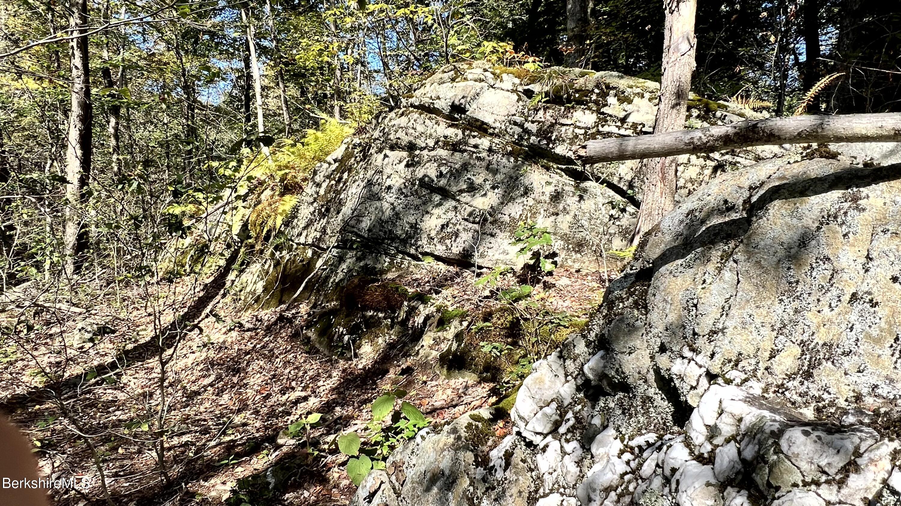 8 Hemlock Road Tyringham, MA 01264 - Photo 10 of 31 IMG_6936