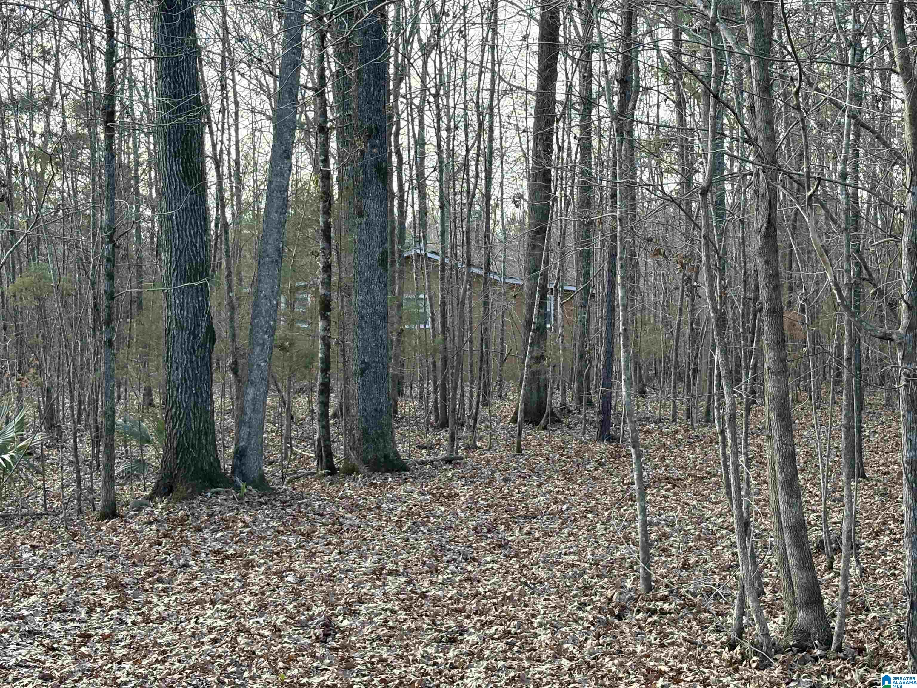6342 Selma Road, Unit 1 Centreville, AL 35042 - Photo 3 of 21