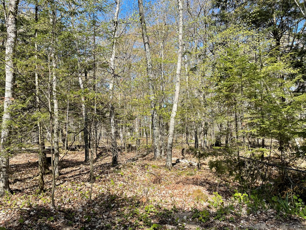 Tbd Northern Door Road Ellison Bay, WI 54210 - Photo 14 of 15