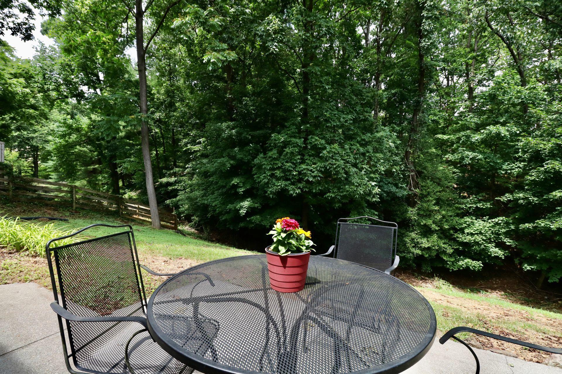 3542 Wright Road Southwest Roanoke, VA 24015 - Photo 41 of 43 41