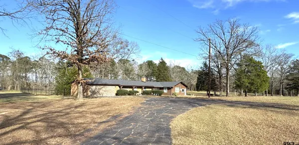a view of road with large trees