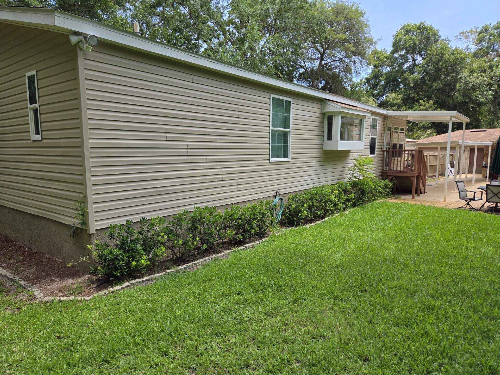 631 Andrew Avenue St. Augustine, FL 32086 - Photo 14 of 20 a view of backyard with plants and large tree