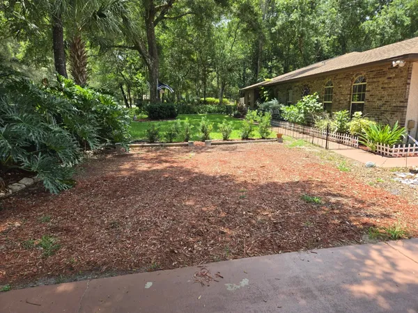 a view of a garden with plants