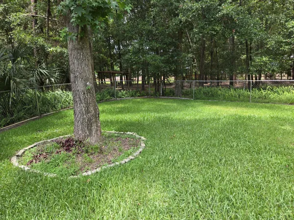 a huge green field with lots of trees