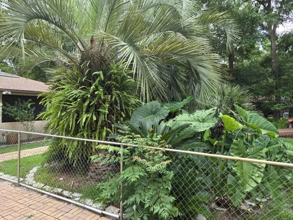 a balcony with yard