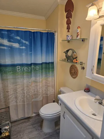 a bathroom with a sink a toilet and shower curtain