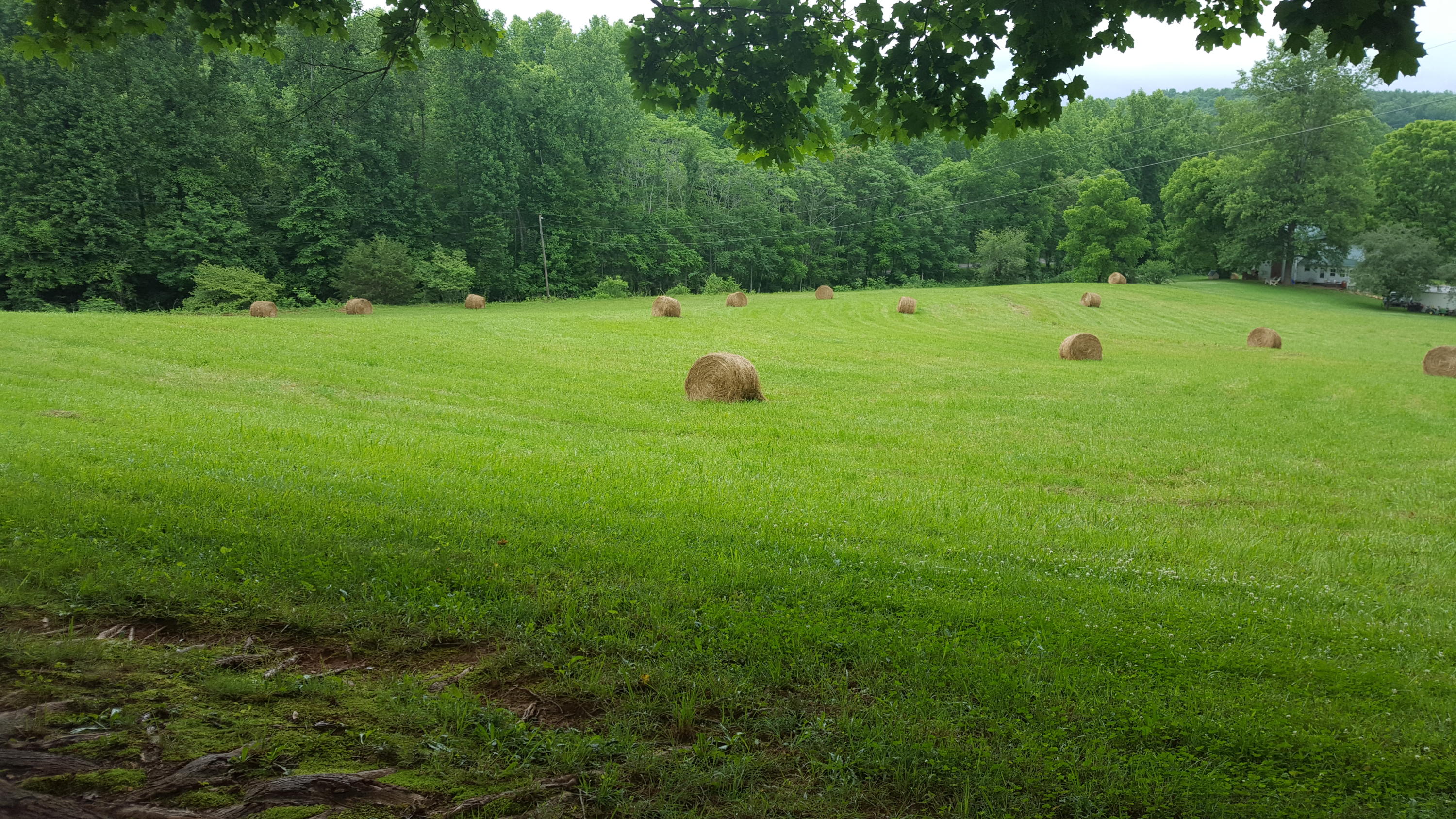 2283 Sawmill Road Ferrum, VA 24088 - Photo 2 of 24 25+ Acres