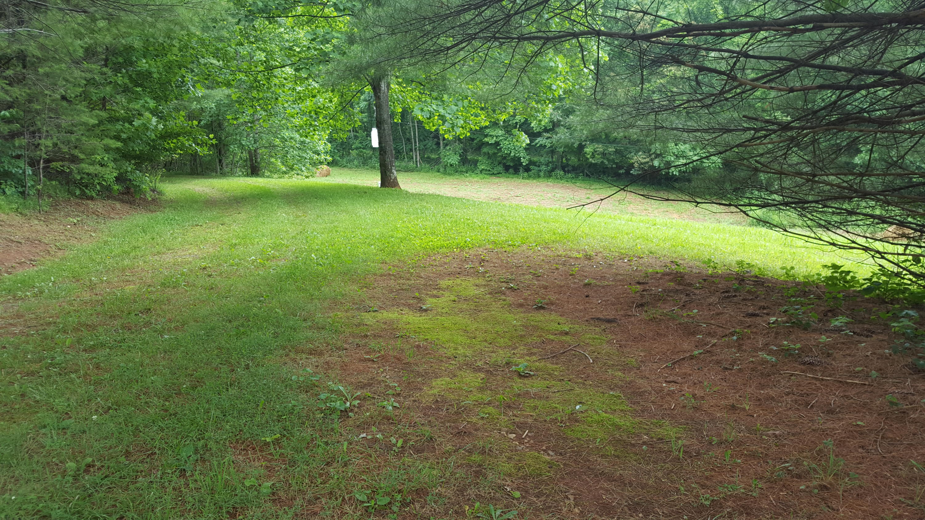 2283 Sawmill Road Ferrum, VA 24088 - Photo 18 of 24 Views