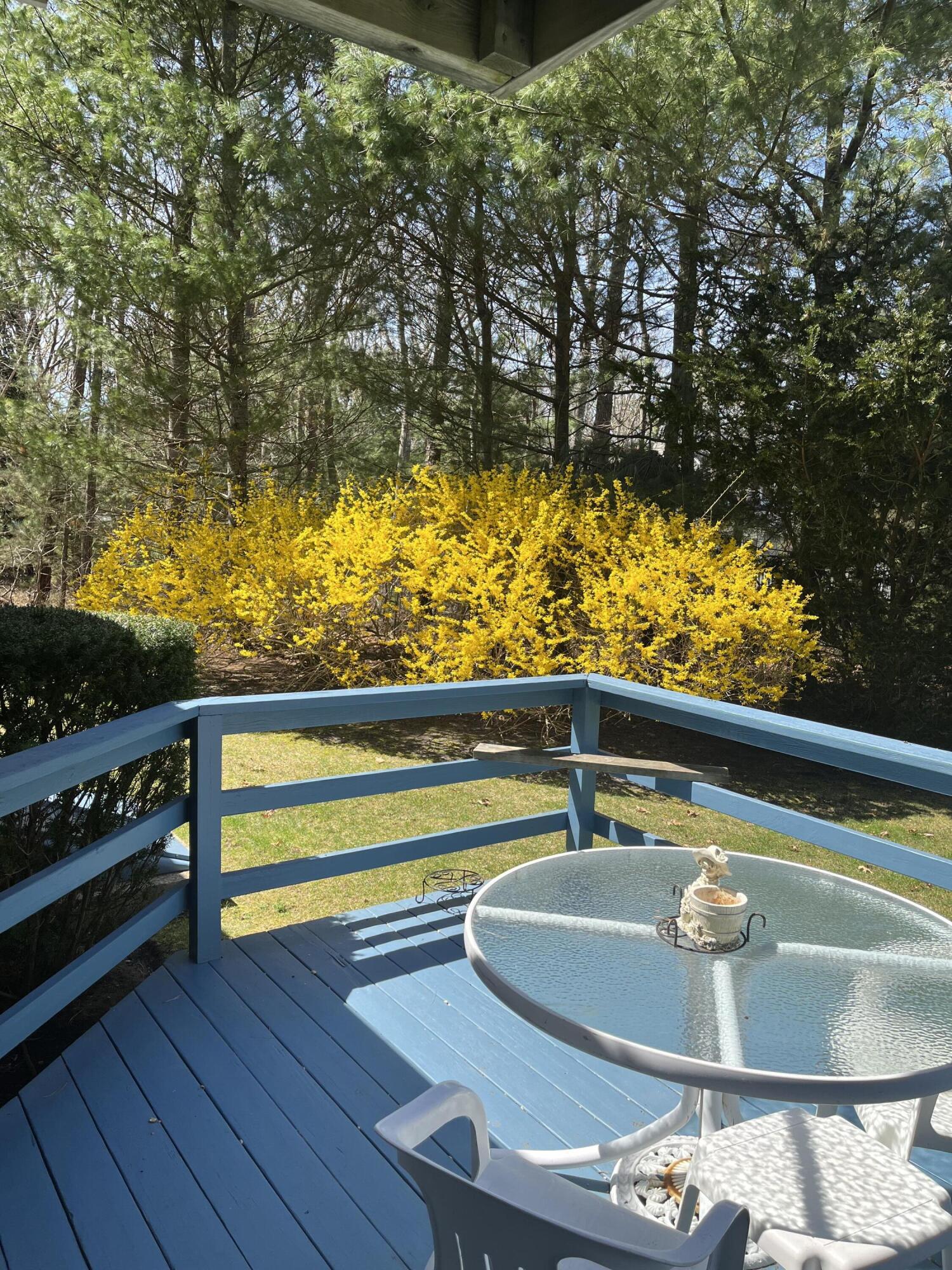 76 Briar Patch Road Osterville, MA 02655 - Photo 29 of 29 IMG_0754