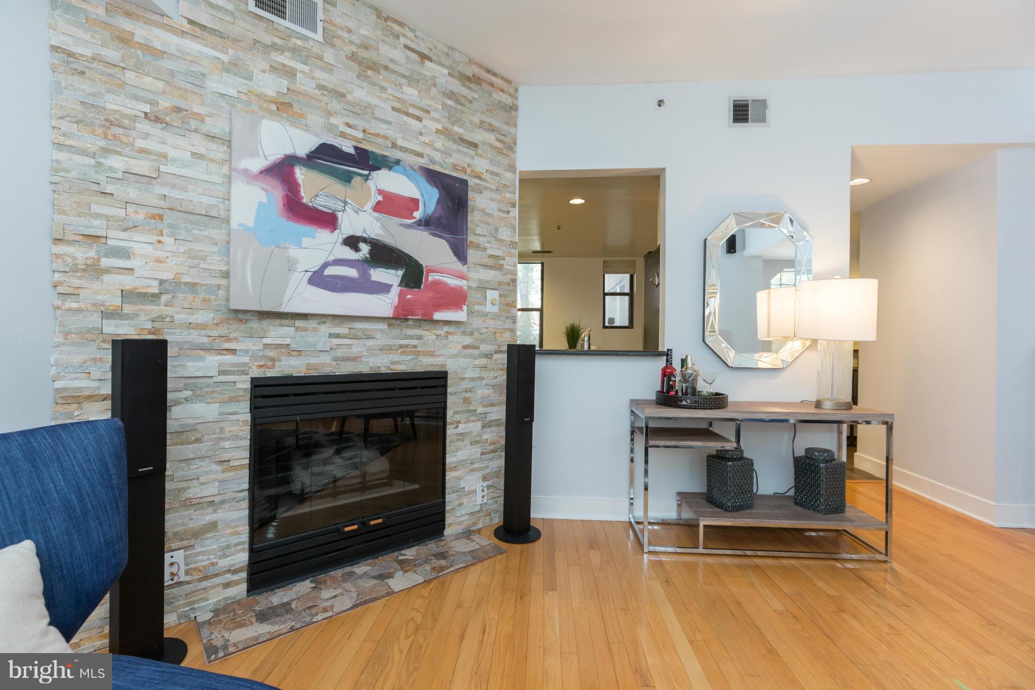 1727 R Street Northwest, Unit 102 Washington, DC 20009 - Photo 14 of 25 Living Room with Gas Fireplace