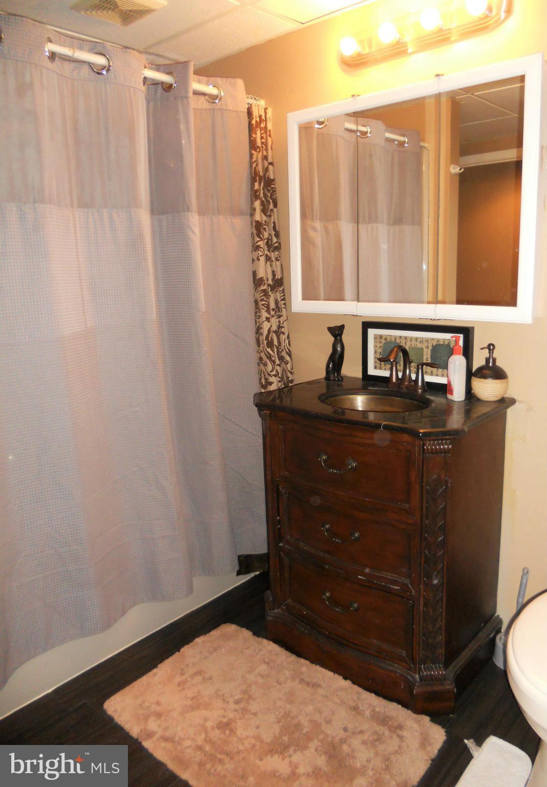 1 McDermott Road Pylesville, MD 21132 - Photo 22 of 30 Lower Level Bath
