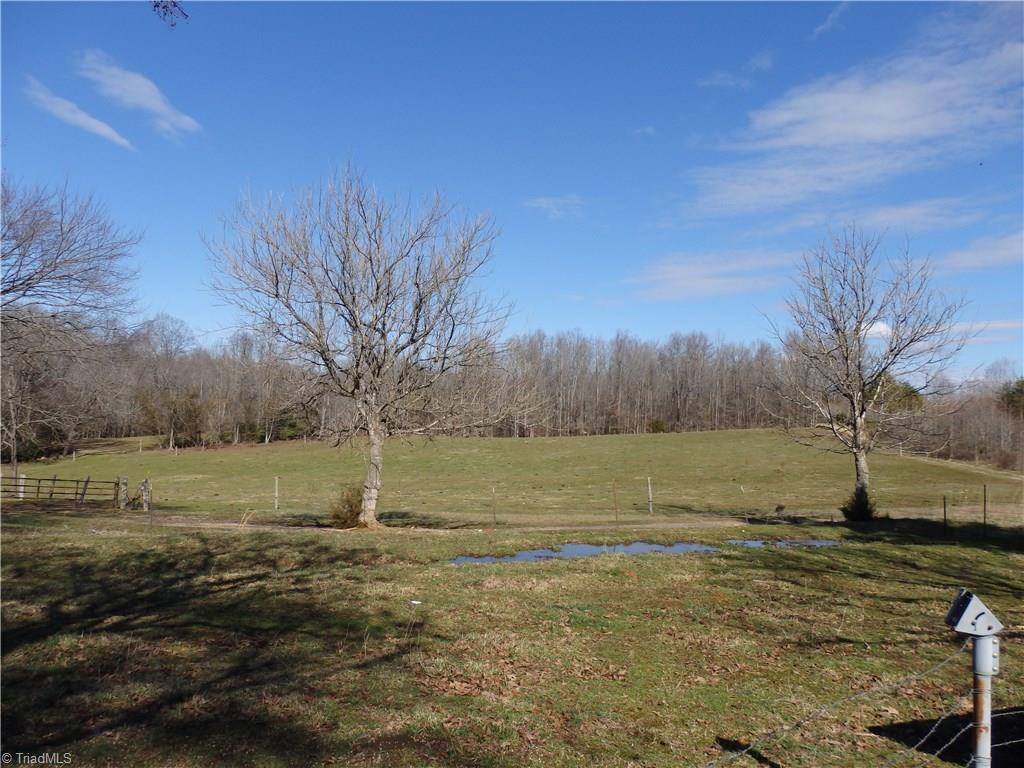 2661 Routh Road Franklinville, NC 27248 - Photo 7 of 8 fenced pasture