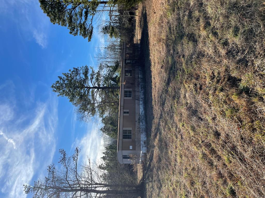 4293 Grandy Road Brodnax, VA 23920 - Photo 9 of 25 Gallery Image 9