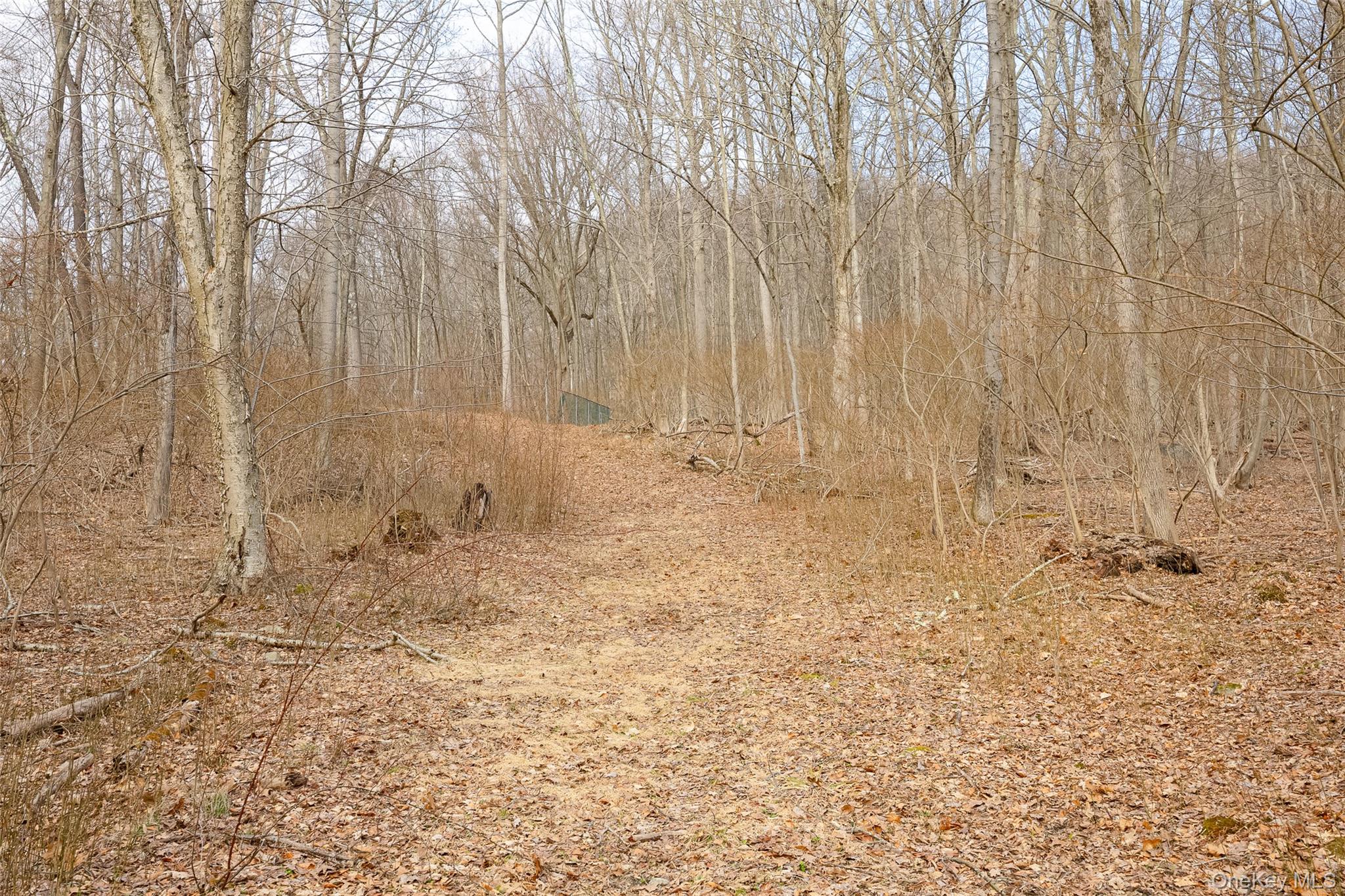 530 Eder Road Stormville, NY 12582 - Photo 2 of 7 a view of small space with wooden fence