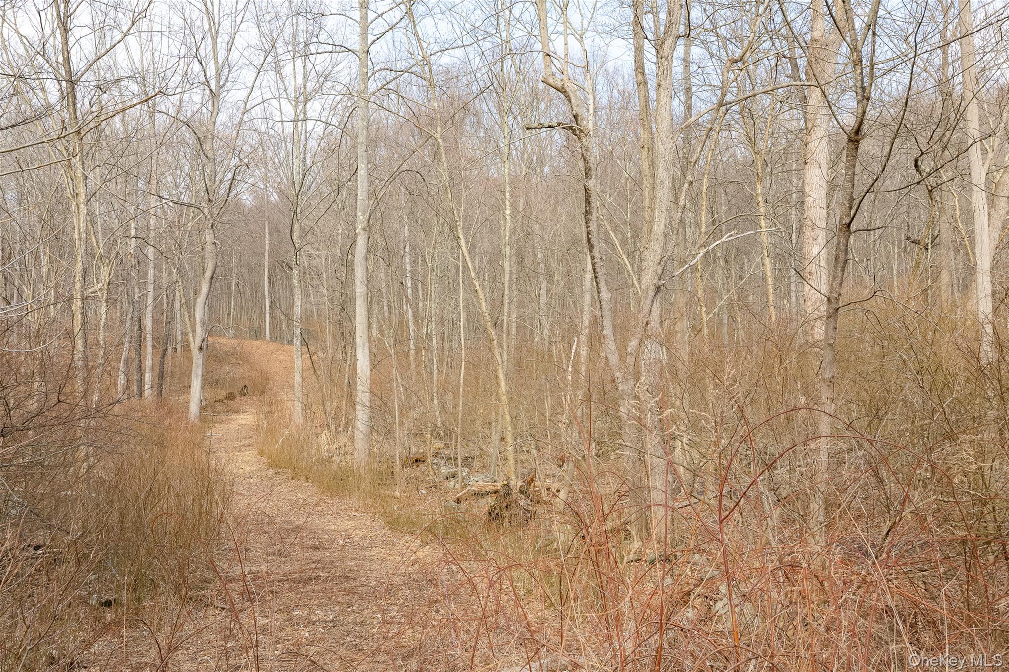 530 Eder Road Stormville, NY 12582 - Photo 3 of 7 a bathroom with a shower