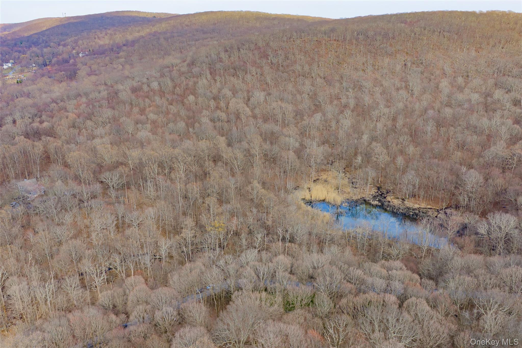 530 Eder Road Stormville, NY 12582 - Photo 5 of 7 a view of a dry yard