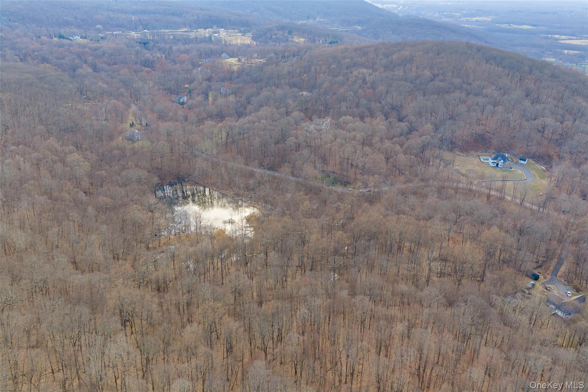 530 Eder Road Stormville, NY 12582 - Photo 7 of 7 a view of a tree in a yard