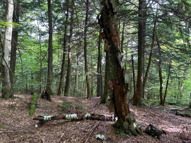 $1,250,000 | 3324 Mud City Loop, Morristown, VT 05661