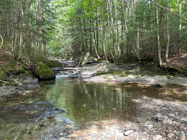 $1,250,000 | 3324 Mud City Loop, Morristown, VT 05661