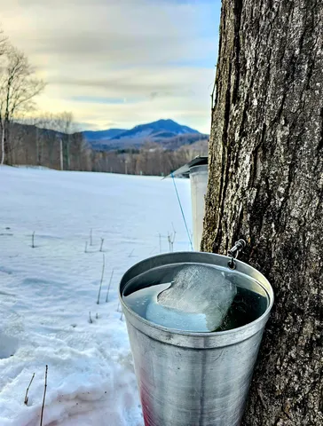 $1,250,000 | 3324 Mud City Loop, Morristown, VT 05661