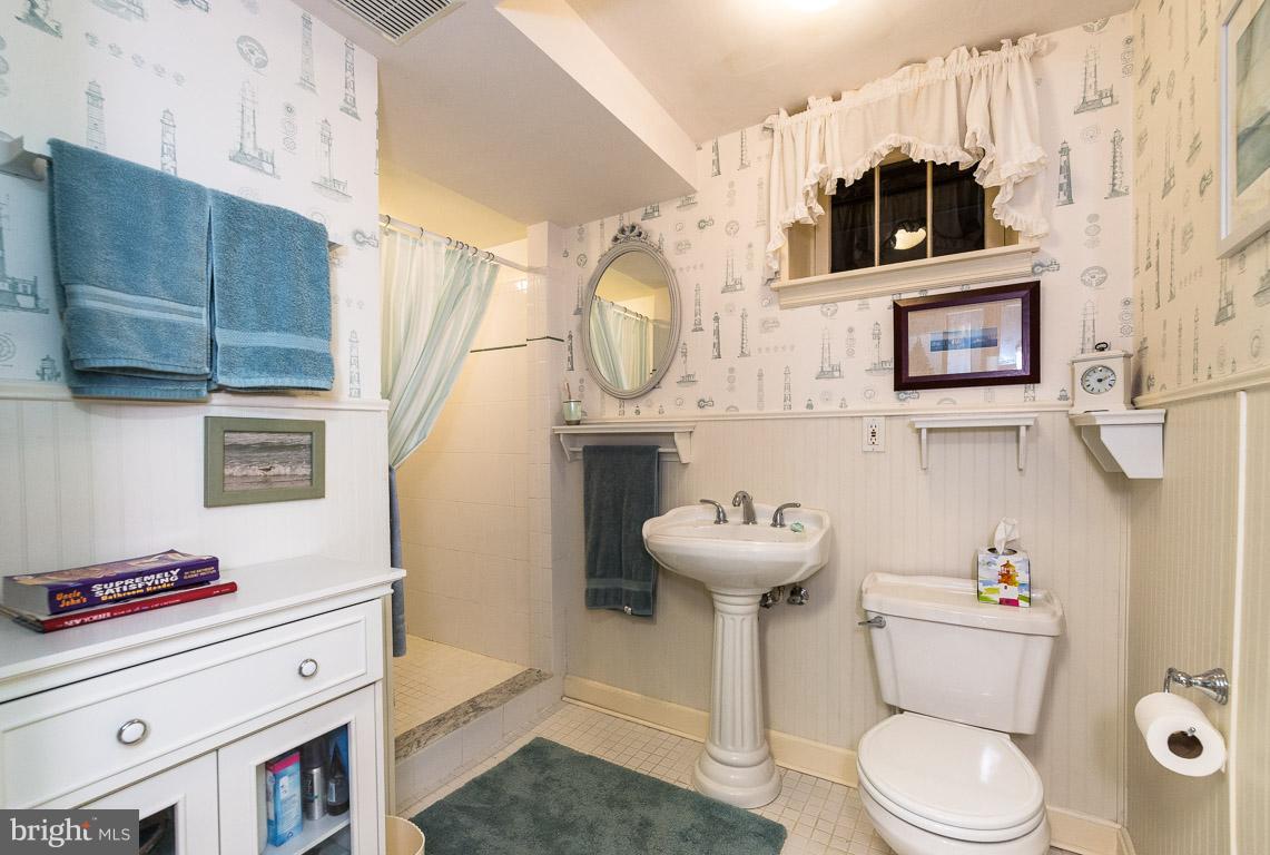 312 Murdock Road Baltimore, MD 21212 - Photo 23 of 28 lower level