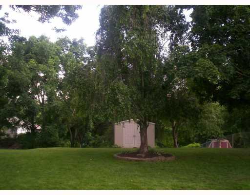 325 Olympic Road Baldwin, PA 15236 - Photo 3 of 10 Yard/Garden.