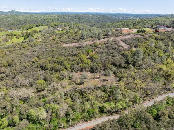 a view of a forest with a street