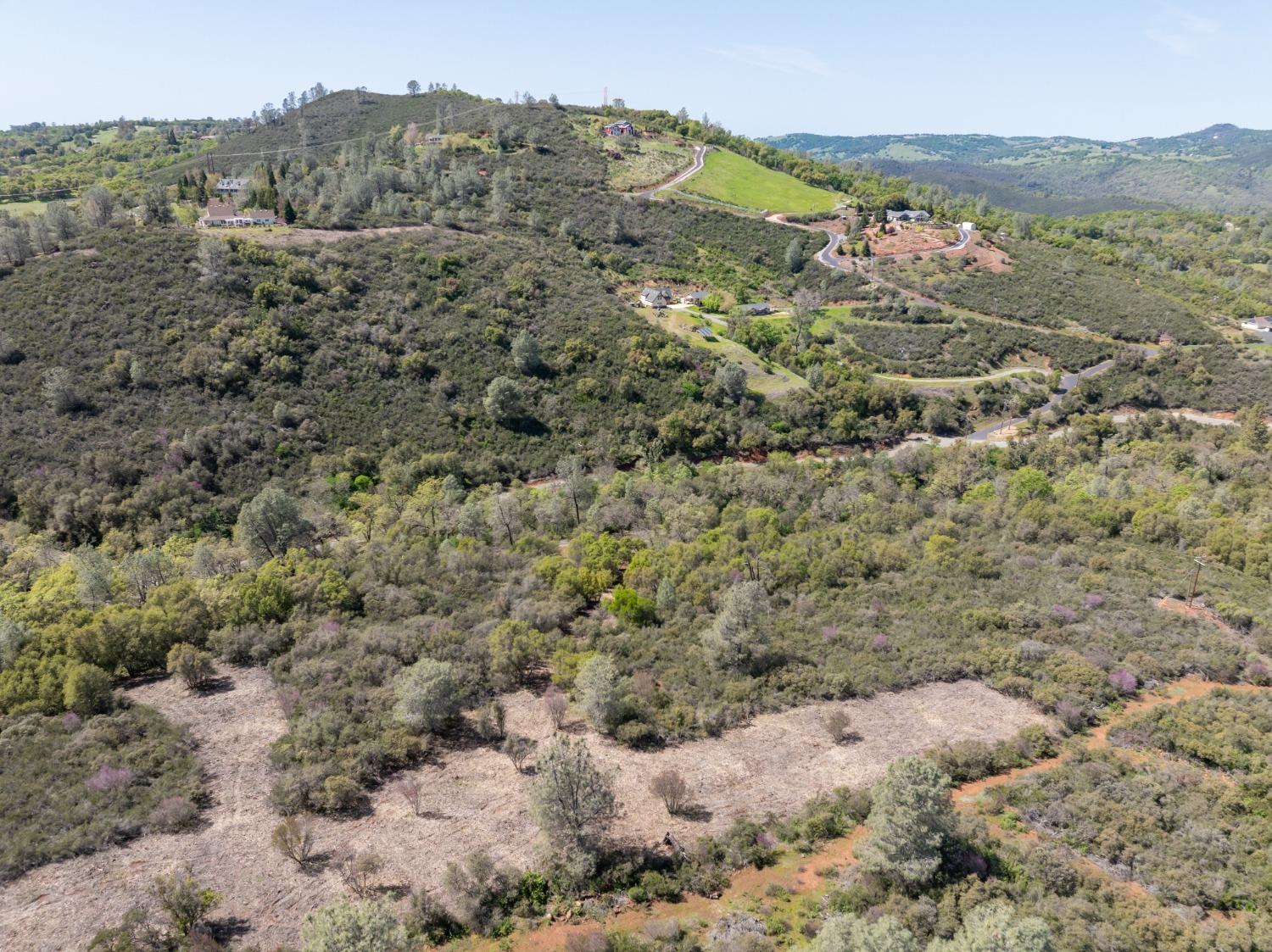 7 Jurgens Road Rescue, CA 95672 - Photo 3 of 12 a view of a forest with mountains in the background
