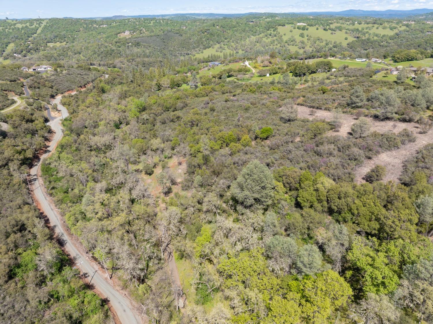 7 Jurgens Road Rescue, CA 95672 - Photo 5 of 12 a view of a field with trees in the background
