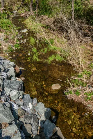 a view of a field with an ocean view
