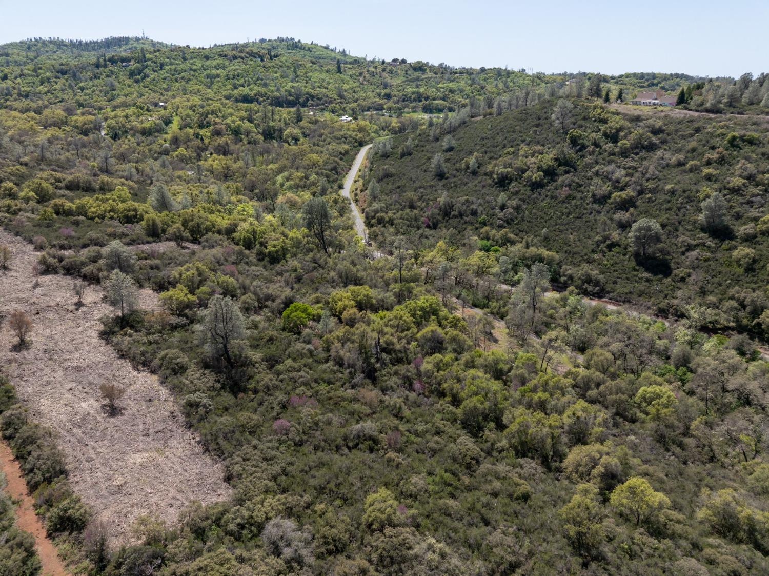 7 Jurgens Road Rescue, CA 95672 - Photo 10 of 12 a view of a forest with a street