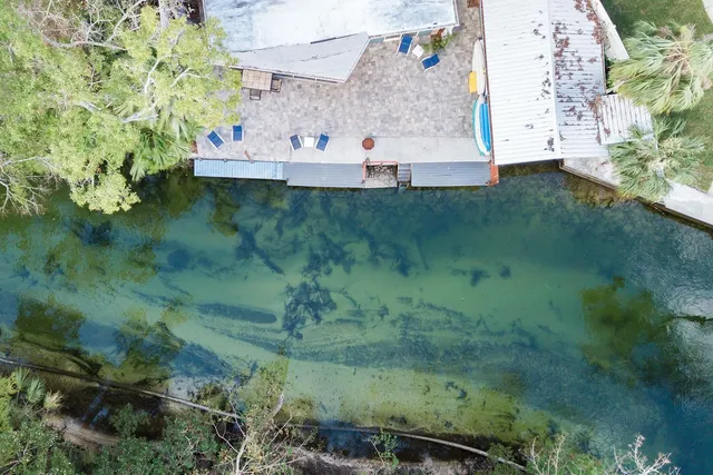 a view of a house with a tree
