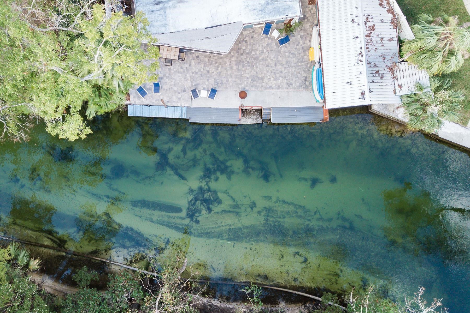 6194 Bear Trail Weeki Wachee, FL 34607 - Photo 4 of 68