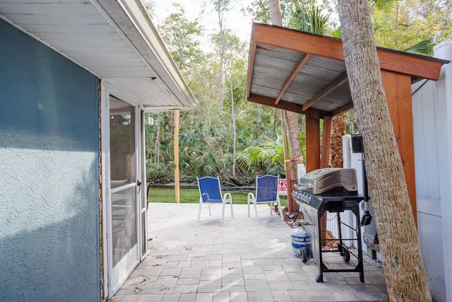 a view of a yard with plants