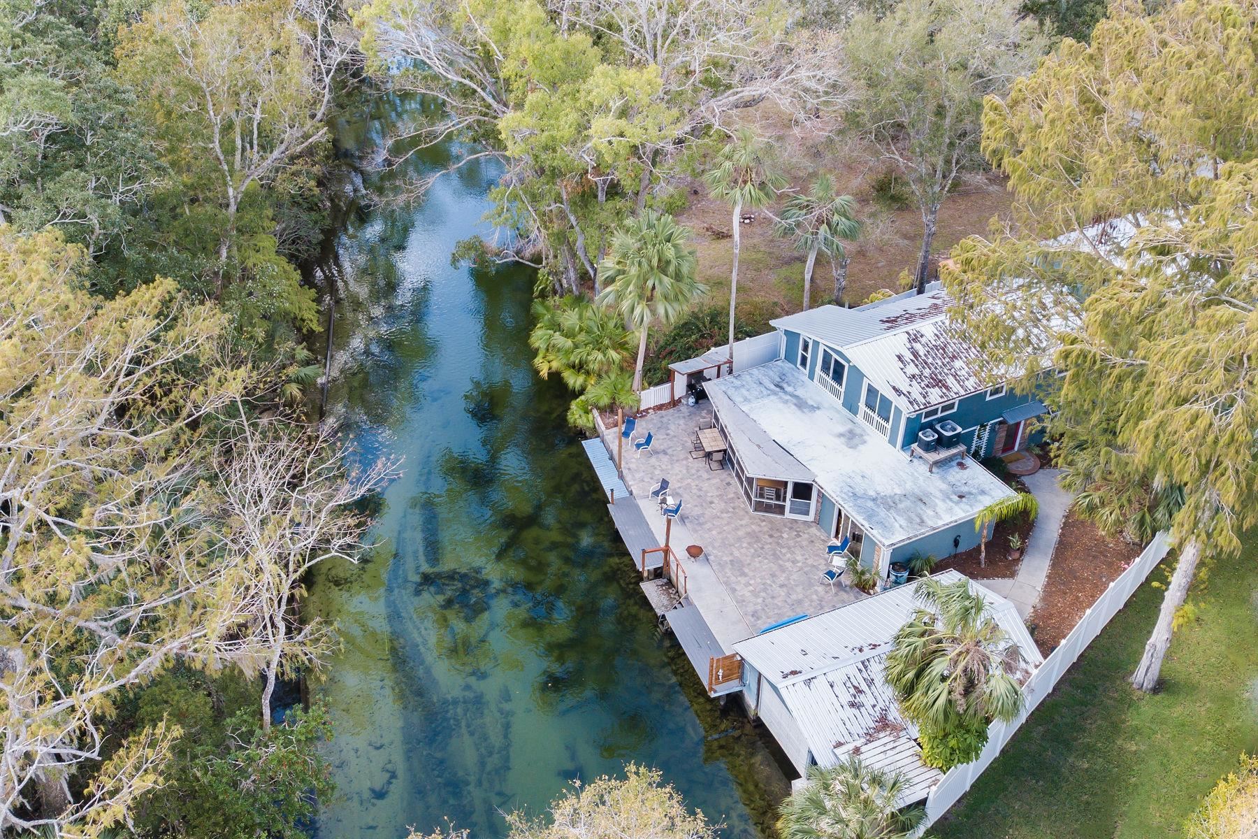 6194 Bear Trail Weeki Wachee, FL 34607 - Photo 5 of 68