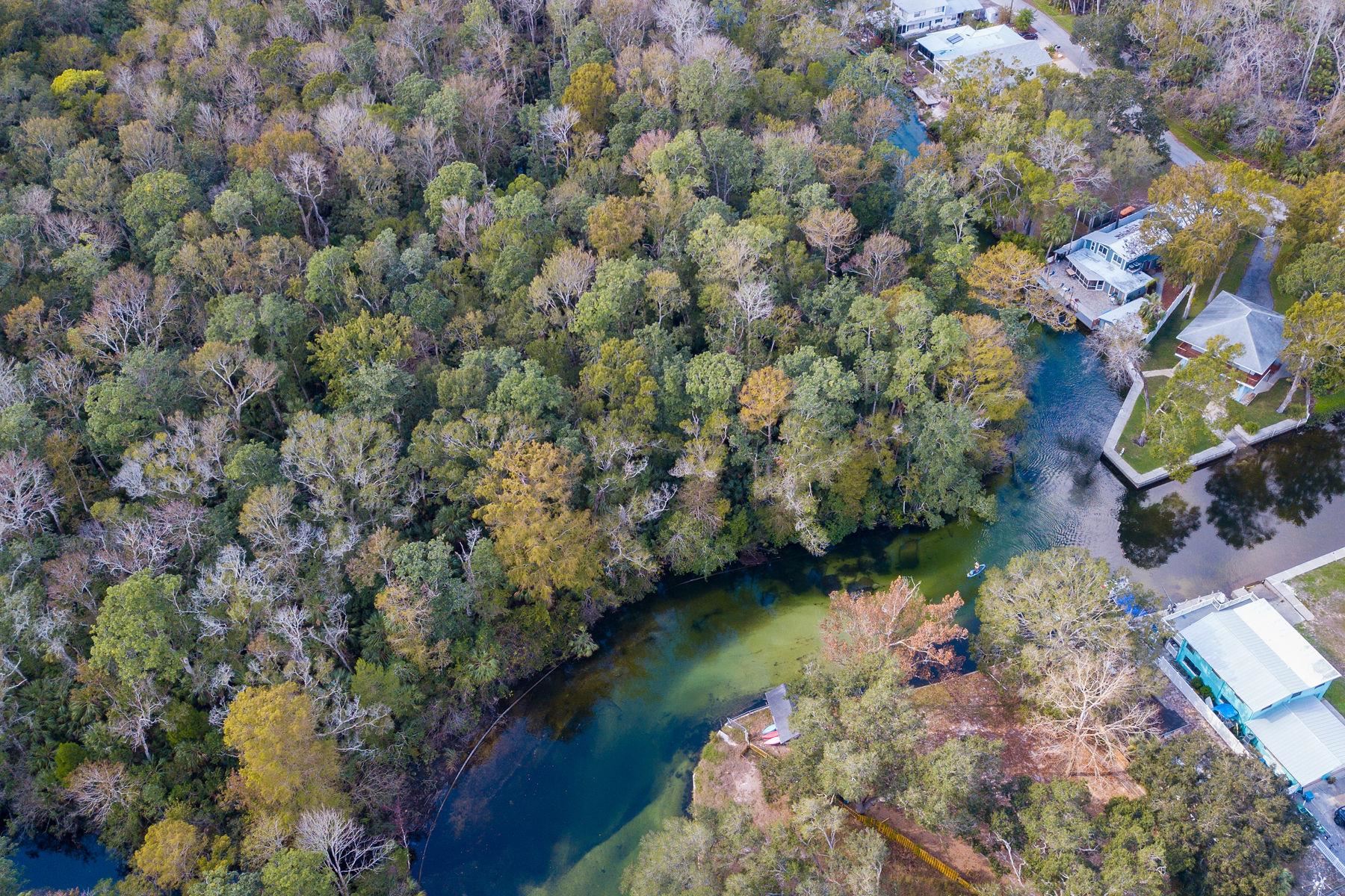 6194 Bear Trail Weeki Wachee, FL 34607 - Photo 66 of 68