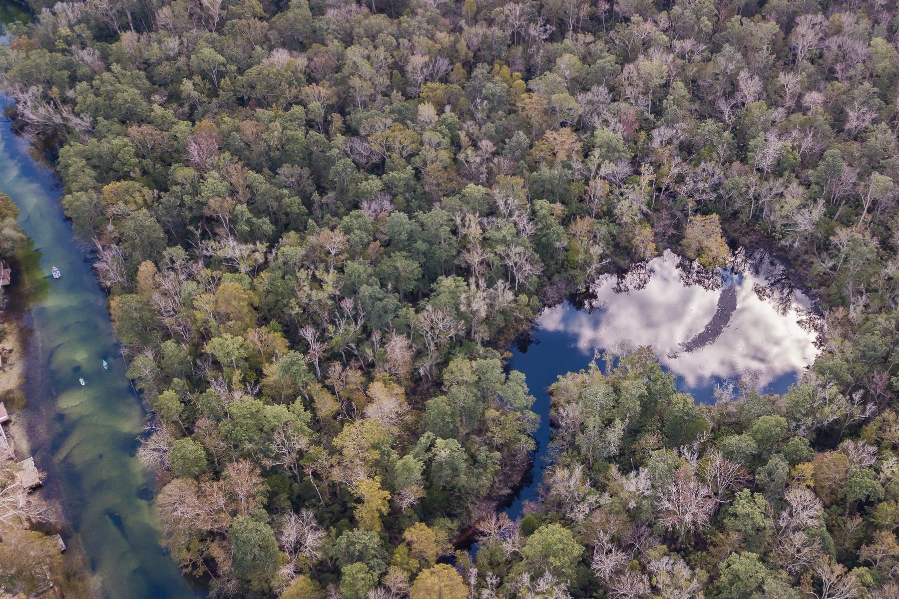 6194 Bear Trail Weeki Wachee, FL 34607 - Photo 68 of 68