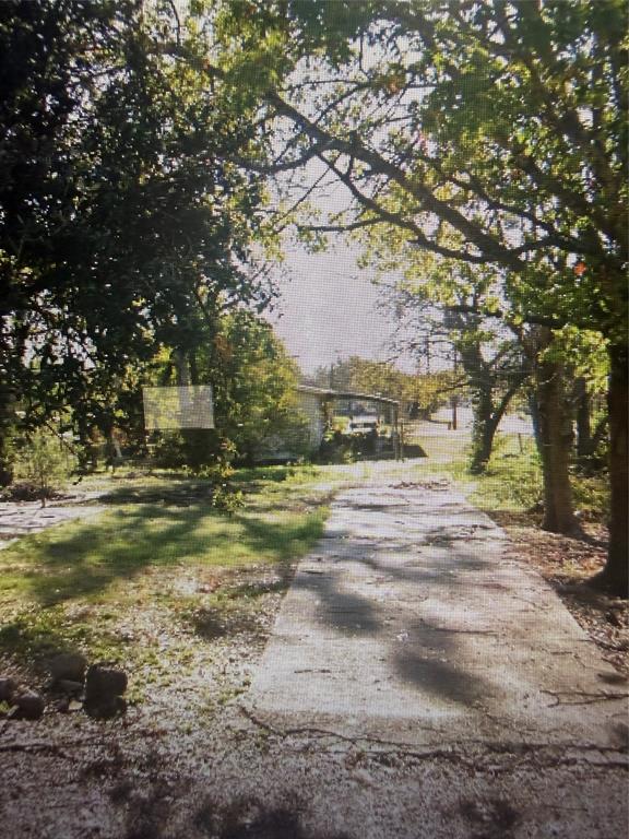 a view of dirt yard with a large tree