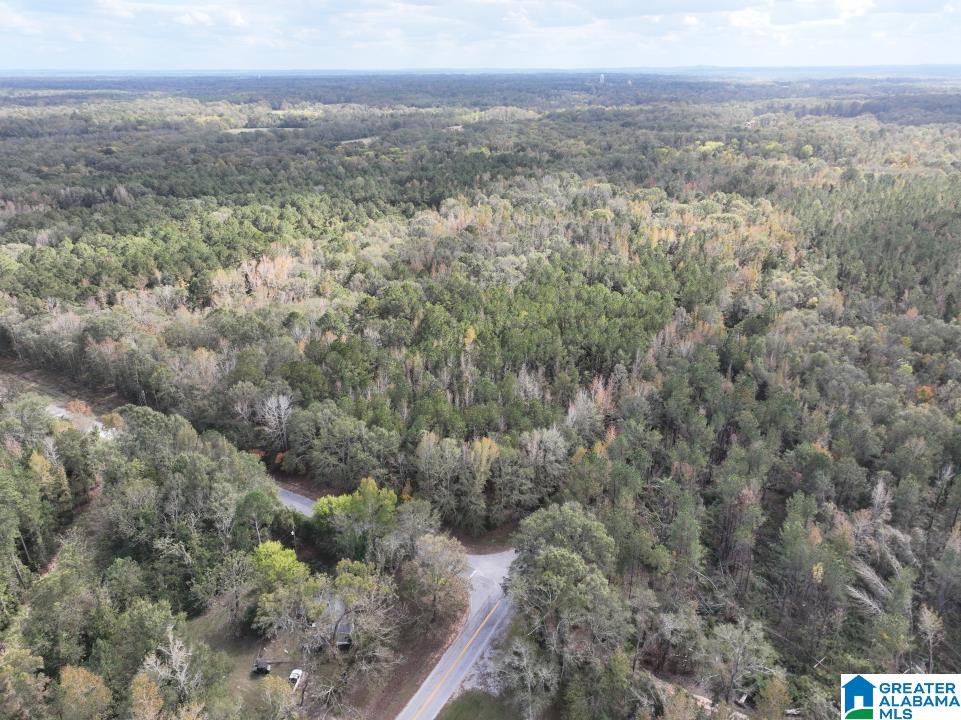 119 Plantation Road, Unit 1 Hope Hull, AL 36043 - Photo 34 of 35