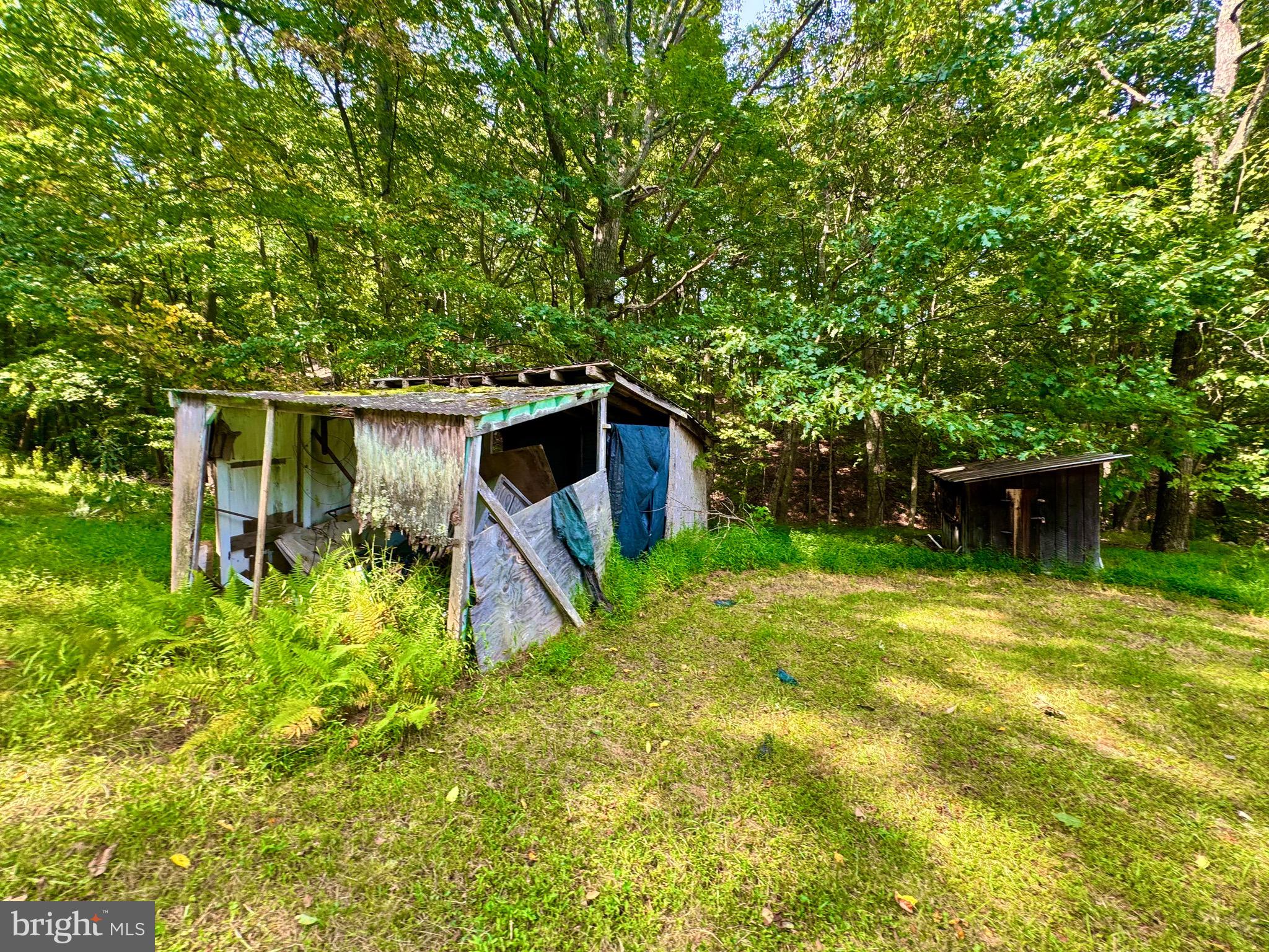 378 Indian Trail Seneca Rocks, WV 26884 - Photo 11 of 22