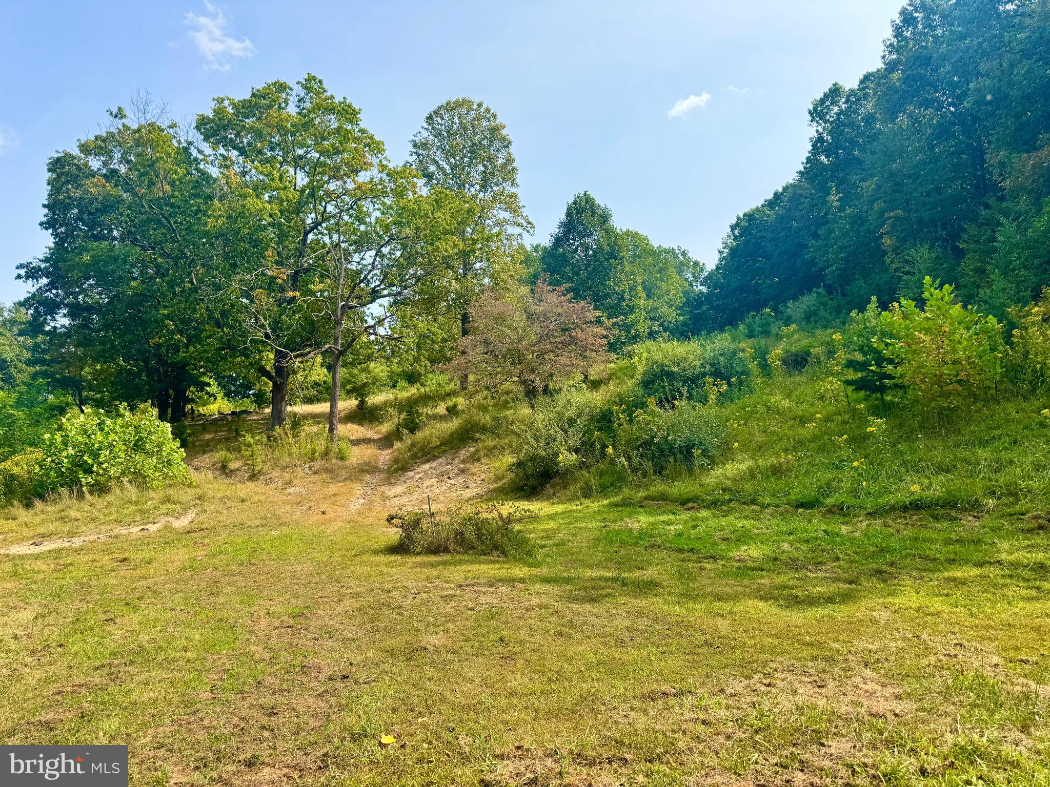378 Indian Trail Seneca Rocks, WV 26884 - Photo 16 of 22