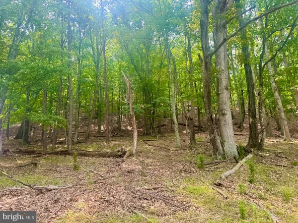 $229,900 | 378 Indian Trail, Seneca Rocks, WV 26884