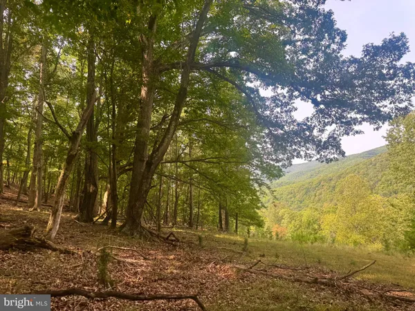 $229,900 | 378 Indian Trail, Seneca Rocks, WV 26884