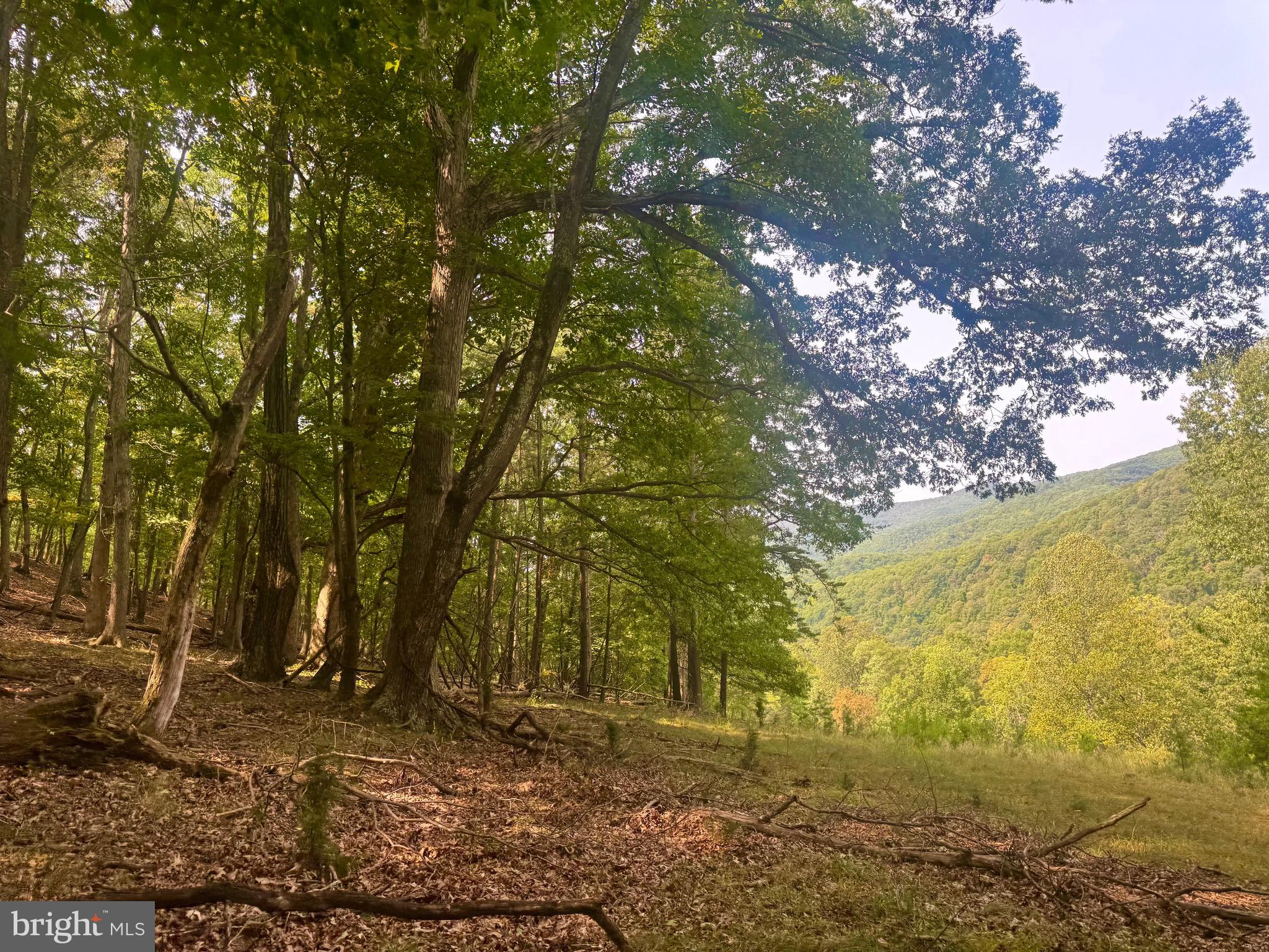 378 Indian Trail Seneca Rocks, WV 26884 - Photo 18 of 22