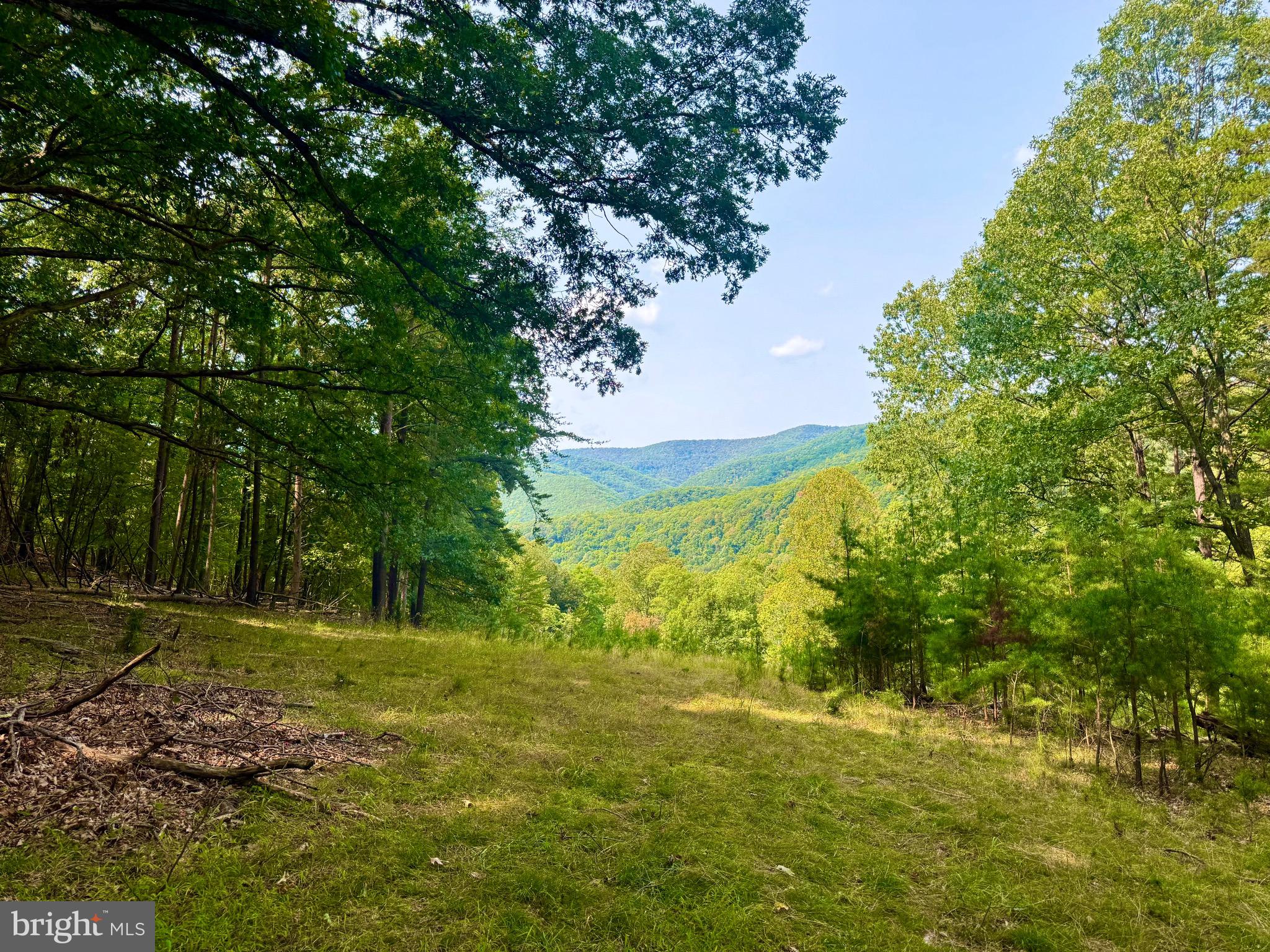 378 Indian Trail Seneca Rocks, WV 26884 - Photo 19 of 22
