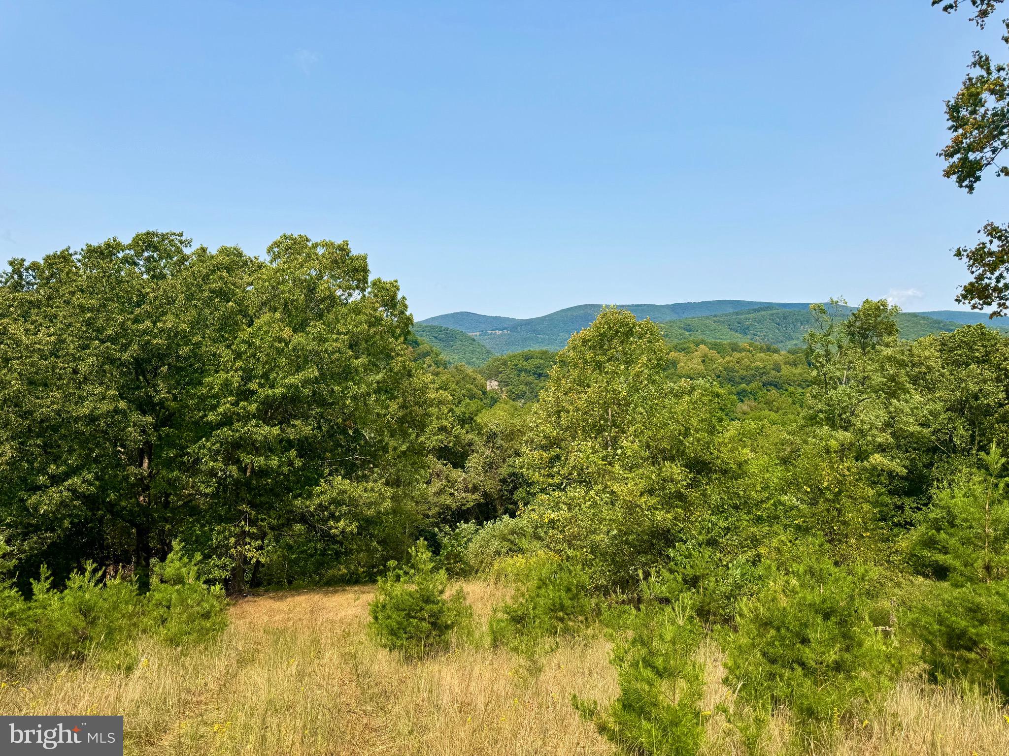 378 Indian Trail Seneca Rocks, WV 26884 - Photo 20 of 22